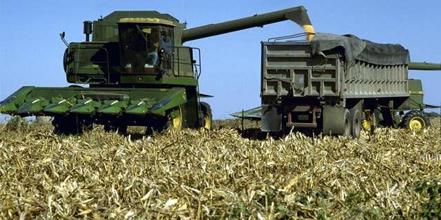 Corn is the main feedstock used for producing ethanol fuel in the United States. (Credit: USDA.gov)