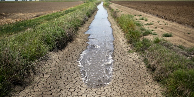 FILE - This May 1, 2014, file photo shows irrigation water running along a dried-up ditch between rice farms in Richvale, Calif. (AP Photo/Jae C. Hong, File)