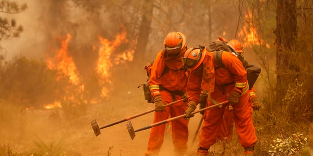 Sept. 12, 2015: A California Department of Corrections and Rehabilitation inmate work crew builds a containment line ahead of flames from a fire.