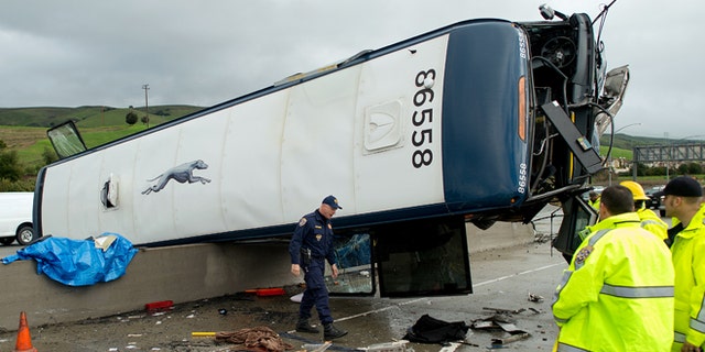 A California Highway Patrol investigator examines the scene of a fatal Greyhound bus crash, Tuesday, Jan. 19, 2016, in San Jose, Calif. The bus flipped on its side while traveling north on Highway 101, according to the San Jose Fire Department. (AP Photo/Noah Berger)