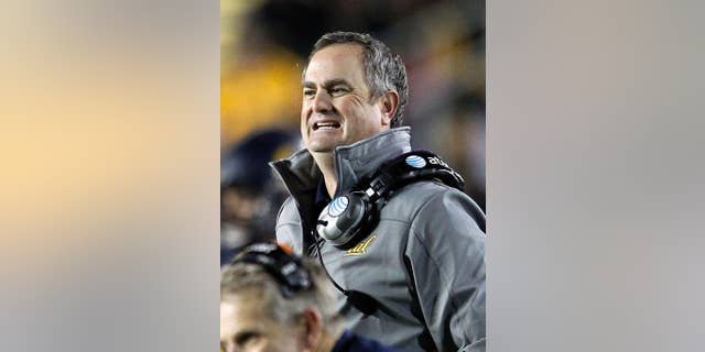 FILE - In this Oct. 19, 2013, file photo, California head coach Sonny Dykes reacts on the sidelines against Oregon State during an NCAA college football game in Berkeley, Calif. The difference in attitude at California is stark heading into coach Dykes' second season. The players are excited about practice, focused on football and eager to put last season's disappointing one-win campaign far in the past. (AP Photo/Tony Avelar,File)