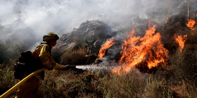 Firefighter Jeff Newby sprays water as he battles the Colby Fire on Friday, Jan. 17, 2014, near Azusa, Calif. Firefighters were chasing flare-ups Friday morning in a damaging wildfire that was largely tamed but kept thousands of people from their homes in the foothill suburbs northeast of Los Angeles.(AP Photo/Jae C. Hong)