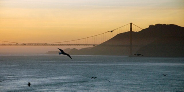 Alfred Hitchcock would have appreciated this twist: As the climate warms, the birds should shrink, climate scientists predict. So why are the birds in central California getting bigger?