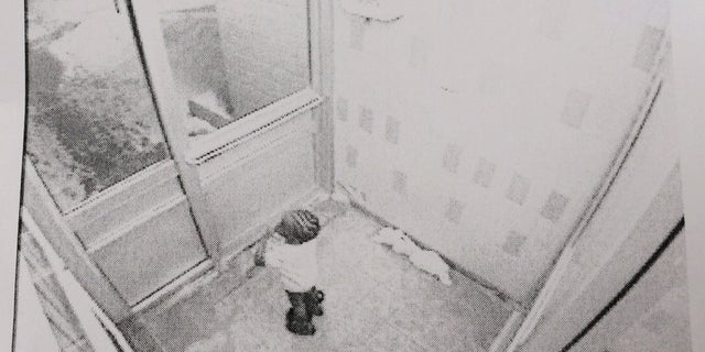 In this frame grab from security camera video provided by the Toronto Police Service via The Canadian Press, 3-year-old Elijah stands in an apartment building lobby, early Thursday, Feb. 19, 2015, in Toronto. Elijah was found dead later Thursday morning after wandering away from the apartment building into bitterly cold weather. (AP Photo/Toronto Police Service via The Canadian Press)