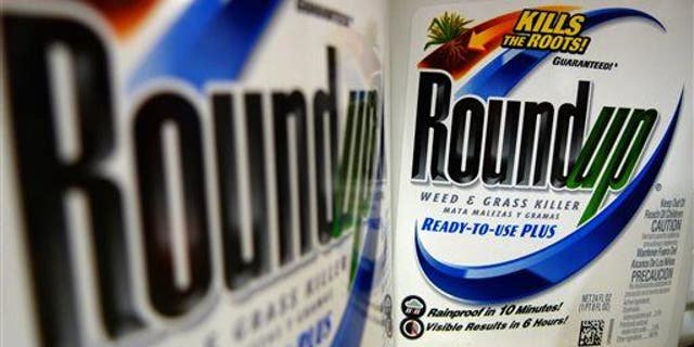 This June 28, 2011, file photo shows bottles of Roundup herbicide, a product of Monsanto, on a store shelf in St. Louis.