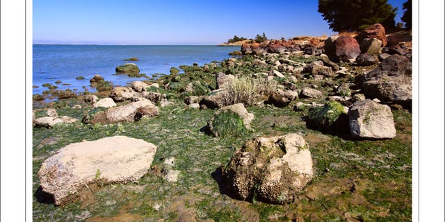Candlestick Point State Recreation Area near San Francisco is among the parks receiving federal conservation funding, which, National Park Service officials say, means the state can't close it.