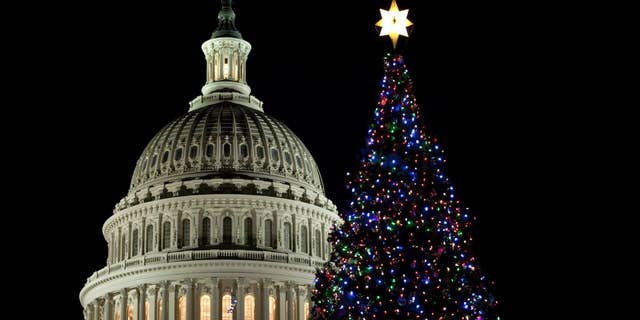 The U.S. Capitol Christmas tree is seen after a lighting ceremony on Tuesday, Dec. 7, 2010, in Washington. (AP Photo/Evan Vucci)