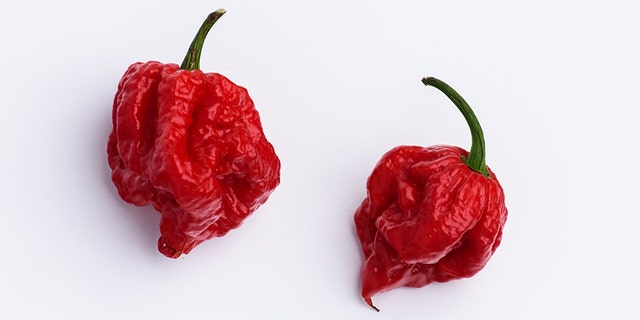 A chili grower defended the world's hottest chili pepper, the so-called "Carolina Reaper" following a report about a man being hospitalized after eating one.