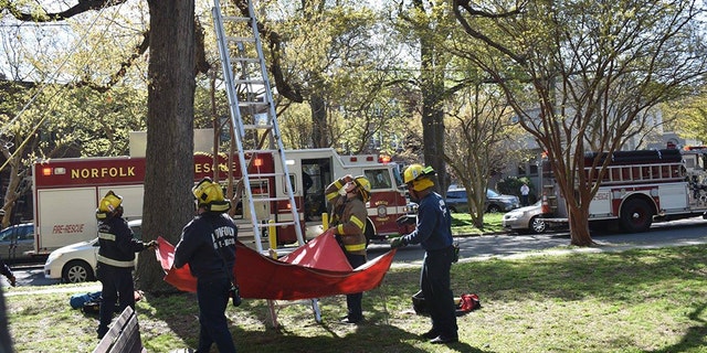 The unidentified man, who may have been a friend of the pet owner, climbed the tree at around 9:30 a.m. but became trapped after he climbed up past his ladder, about 30 feet up.