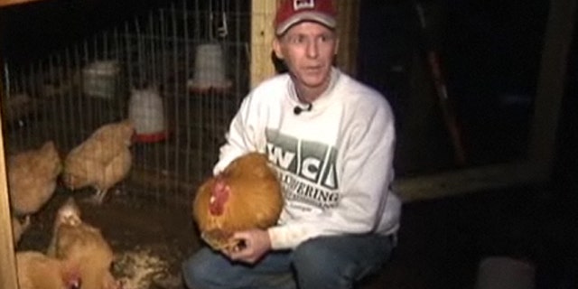 Mar. 26, 2012: This photo shows Andrew Wordes, known locally as the 'Chicken Man.'