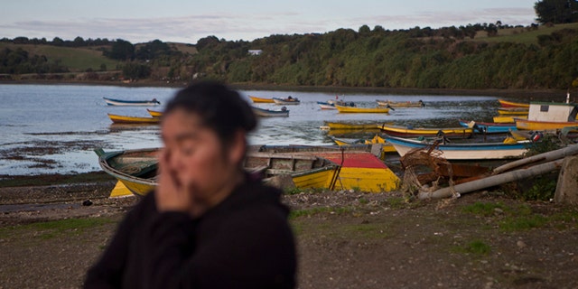 In this May 10, 2016 photo, small scale fisherwoman Marisol Millaquien stands on the shore backdropped by idle boats in the fishing village Quetalmahue, on Chile's Chiloe Island, during the country's worst ever "red tide" environmental disaster. "They killed our ocean," said Millaquien, who has been out of work for three weeks due to a toxic algal bloom that is threatening the livelihood of many in this archipelago located in the Pacific Ocean. (AP Photo/Esteban Felix)