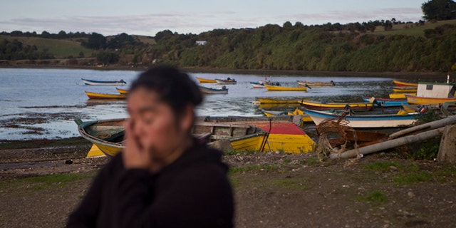 In this May 10, 2016 photo, small scale fisherwoman Marisol Millaquien stands on the shore backdropped by idle boats in the fishing village Quetalmahue, on Chile's Chiloe Island, during the country's worst ever "red tide" environmental disaster. "They killed our ocean," said Millaquien, who has been out of work for three weeks due to a toxic algal bloom that is threatening the livelihood of many in this archipelago located in the Pacific Ocean. (AP Photo/Esteban Felix)