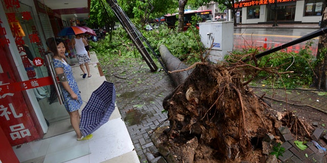 July 19, 2014: In this photo, a woman looks at a tree uprooted by Typhoon Rammasun in Nanning in south China's Guangxi Zhuang Autonomous Region. (AP)