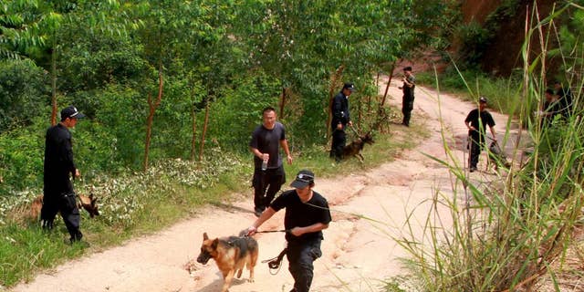 In this photo released by China's Xinhua news agency, policemen use sniffer dogs to search for a man of stabbing four elementary school students, in Pingshan Town of Lingshan County, south China's Guangxi Zhuang Autonomous Region, Friday, Sept. 26, 2014. The man fatally stabbed four elementary school students Friday while they were on their way to school, the latest of several slashing attacks targeting schoolchildren over the past decade. The county government said on its website that three of the children were killed instantly and that one died later in hospital. Officials said police are searching for 56-year-old suspect, but gave no other details. (AP Photo/Xinhua, Zhang Ailin) NO SALES
