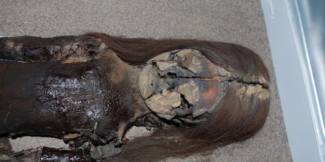 The black chest of this Chinchorro mummy shows signs of degradation, even though it is housed at the University of Tarapacá’s archeological museum in Arica, Chile.