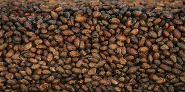 File - This Thursday, Nov. 24, 2005 file photo shows organic cocoa beans.