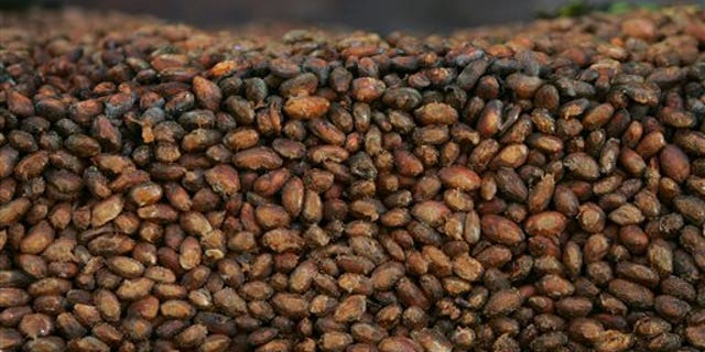 File - This Thursday, Nov. 24, 2005 file photo shows organic cocoa beans.