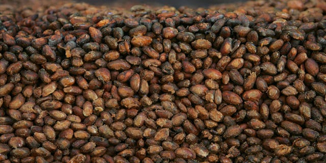 File - This Thursday, Nov. 24, 2005 file photo shows organic cocoa beans in storage at a factory in Ocumare de la Costa, 60 miles west of Caracas, Venezuela. (AP Photo/Fernando Llano)