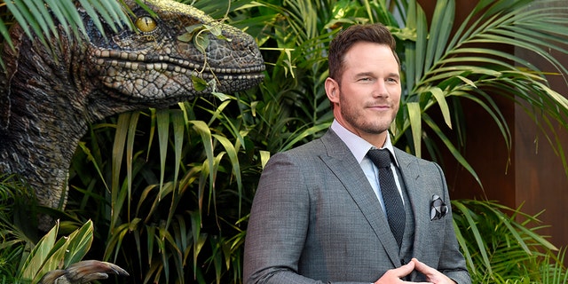 Chris Pratt thanked veterans for their service in an emotional post on Memorial Day.