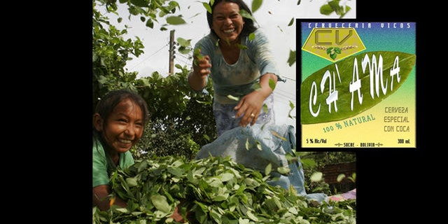 Bolivian coca farmer and her daughter put newly-cropped coca leaves to dry by the sun in the Villa 14 de Septiembre, nearly 124 miles east of Cochabamba, Bolivia.