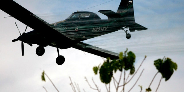 FILE - In this Dec. 15, 2006, file photo, a plane sprays coca fields in San Miguel, Colombia. The latest survey by the U.S., released this on May 2015, show that areas under coca cultivation in Colombia shot up 39 percent last year to 112,000 hectares (about 276,000 acres). The White Houses Drug Czar attributed the boom to an increase in crop spraying off-limit areas like Paramillo, one of the countrys 59 national parks and conservation areas where spraying is banned. (AP Photo/William Fernando Martinez, File)