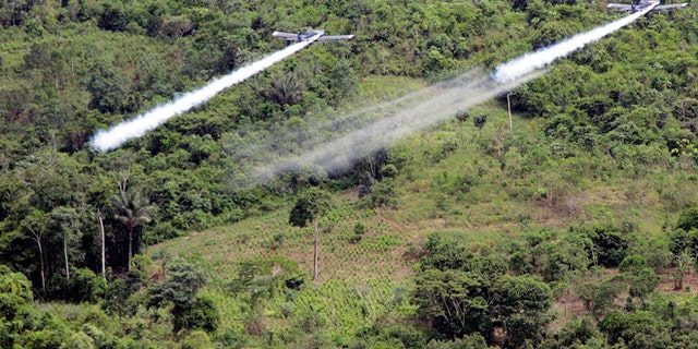 FILE - In this Dec. 11, 2006, file photo, two AT- 802 planes are seen fumigating coca fields in San Miguel, Colombia. Cultivation of the leaf used to make cocaine skyrocketed in 2014 in Colombia, according to a new White House report released partially on Monday, May 4, 2015, thatâs likely to pressure the government to preserve a threatened U.S. aerial eradication program thatâs been at the heart of the drug war for over a decade. (AP Photo/Fernando Vergara, File)