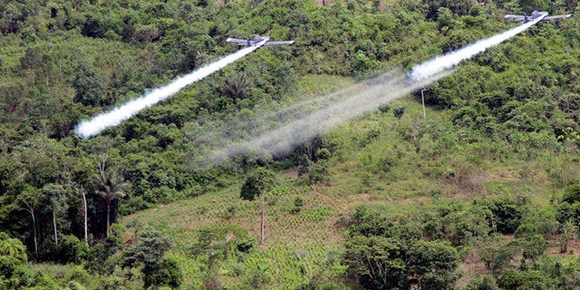 FILE - In this Dec. 11, 2006, file photo, two AT- 802 planes are seen fumigating coca fields in San Miguel, Colombia. Cultivation of the leaf used to make cocaine skyrocketed in 2014 in Colombia, according to a new White House report released partially on Monday, May 4, 2015, thatâs likely to pressure the government to preserve a threatened U.S. aerial eradication program thatâs been at the heart of the drug war for over a decade. (AP Photo/Fernando Vergara, File)
