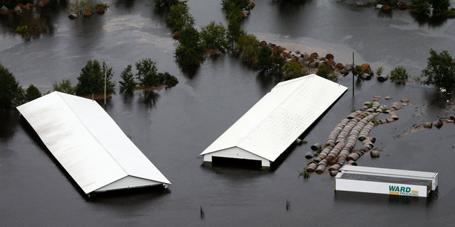 Farm buildings are inundated with floodwater from Hurricane Florence near Trenton, N.C., Sunday, Sept. 16, 2018. (AP Photo/Steve Helber)