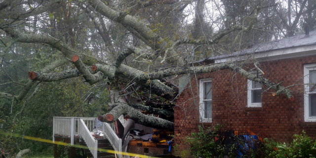 A fallen tree is shown after it crashed through the home where a woman and her baby were killed in Wilmington, N.C., after Hurricane Florence made landfall Friday, Sept. 14, 2018. (AP Photo/Chuck Burton)