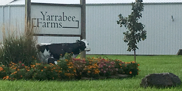 This photo shows the Yarrabee Farms, a cattle operation in Brooklyn, Iowa on Thursday, Sept. 6, 2018. Investigators from local, state and federal agencies were at the farm, which employed the suspect charged with killing University of Iowa student Mollie Tibbetts. (AP Photo/Ryan J. Foley)