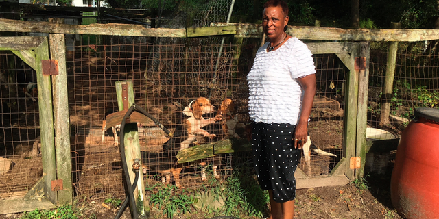In this Sept. 18, 2018, photo, Marian Sutton checks on her deceased husband’s dogs in their backyard kennel near Kinston, N.C. Bennie Lee Sutton’s death was attributed to Hurricane Florence because he was outside with the dogs as the storm’s winds swirled across the area and suffered an apparent heart attack, his family said. (AP Photo/Emery P. Dalesio)
