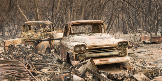 Vintage trucks burned by the Wall fire rest in a grove near Oroville, Calif., on Saturday, July 8, 2017.