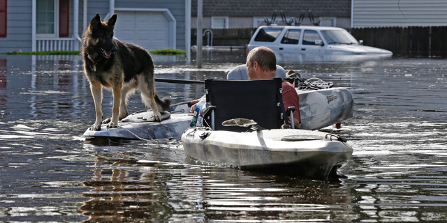 A man tries to get his dog out of a flooded neighborhood in Lumberton, N.C., Monday, Sept. 17, 2018, in the aftermath of Hurricane Florence. (AP Photo/Gerry Broome, File)