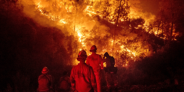 FILE - In this Aug. 7, 2018 file photo, firefighters monitor a backfire while battling the Ranch Fire, part of the Mendocino Complex Fire near Ladoga, Calif. The U.S. Forest Service says the largest wildfire in California history is now 100 percent contained. The service said Wednesday, Sept. 19, 2018, the Mendocino Complex, twin fires that erupted in July in Lake County, scorched 720 square miles (1,865 square kilometers) of brush and timber north of San Francisco, destroyed 157 homes and killed a firefighter. (AP Photo/Noah Berger, File)