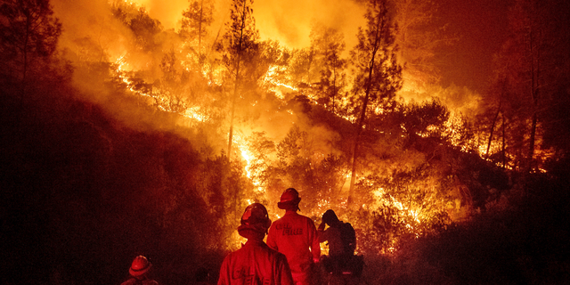 FILE - In this Aug. 7, 2018 file photo, firefighters monitor a backfire while battling the Ranch Fire, part of the Mendocino Complex Fire near Ladoga, Calif. The U.S. Forest Service says the largest wildfire in California history is now 100 percent contained. The service said Wednesday, Sept. 19, 2018, the Mendocino Complex, twin fires that erupted in July in Lake County, scorched 720 square miles (1,865 square kilometers) of brush and timber north of San Francisco, destroyed 157 homes and killed a firefighter. (AP Photo/Noah Berger, File)