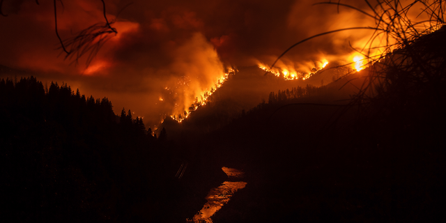 The Delta Fire burns in the Shasta-Trinity National Forest, Calif., on Wednesday, Sept. 5, 2018. Parked trucks lined more than two miles of Interstate 5 as both directions remained closed to traffic. (AP Photo/Noah Berger)