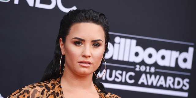 The mother-daughter owners of popular Los Angeles frozen yogurt shop, The Bigg Chill, told Fox News on Monday that they were taken aback by Demi Lovato's public social media outburst at their abundance of sugar-free offerings.