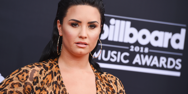 The mother-daughter owners of popular Los Angeles frozen yogurt shop, The Bigg Chill, told Fox News on Monday that they were taken aback by Demi Lovato's public social media outburst at their abundance of sugar-free offerings.