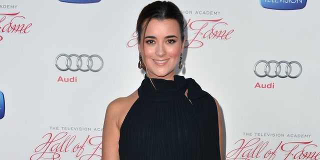 Cote de Pablo attends the Academy of Television Arts &amp; Sciences' 22nd Annual Hall of Fame Induction Gala on March 11, 2013 in Beverly Hills, California.
