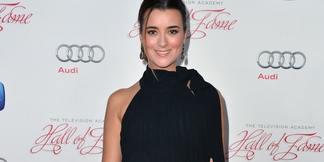 Cote de Pablo attends the Academy of Television Arts & Sciences' 22nd Annual Hall of Fame Induction Gala on March 11, 2013 in Beverly Hills, California.