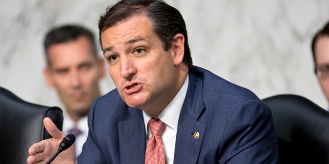 Sen. Ted Cruz, R-Texas, on Capitol Hill in Washington, D.C., July 24, 2013.
