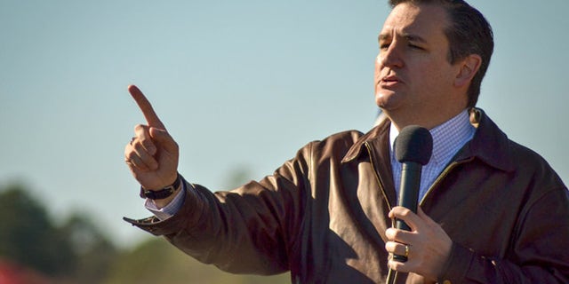 Republican presidential candidate Sen. Ted Cruz (R-TX) speaks to crowd during a campaign rally at Ottawa Farms December 19, 2015 in Bloomingdale, Georgia. (Photo by Nicholas Pilch/Getty Images)