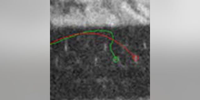 This image shows a guided bullet's path to its target (green) compared to the rifle's aim point (red).