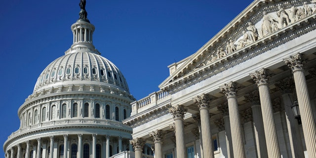 August 2, 2011 file photo of the U.S. Capitol dome and U.S. Senate in Washington.