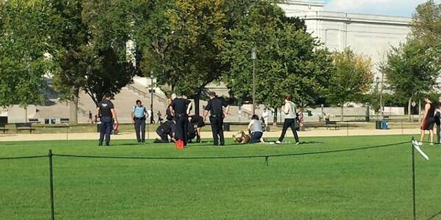 Oct. 4, 2013: Authorities respond to a man who reportedly set himself on fire on the National Mall.