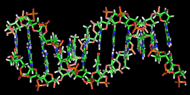 An illustration of the double-helix structure of a strand of DNA.