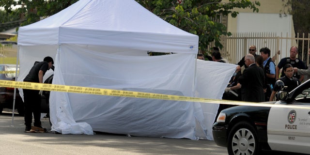 August 24, 2014: Los Angeles Police Department officers investigate the scene of a shooting where one person was killed near the 14400 block of Polk Street in Sylmar, Calif. (AP Photo/Los Angeles Daily News, Dean Musgrove)