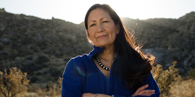 U.S. Rep. Deb Haaland, D-N.M. (Deb Haaland Campaign)