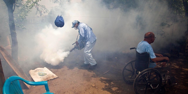 A worker from the health ministry fumigates the backyard of a home where the man who lives there sits in his wheelchair in the neighborhood of Waspam in Managua, Nicaragua.