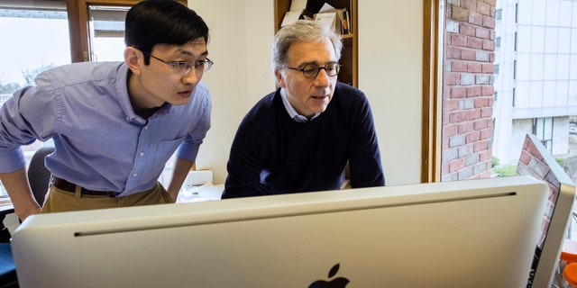 Harvard Stem Cell Institute Co-Director Doug Melton, right, and Peng Yi, a post doctoral fellow in his lab, review data from recent experiments in Melton's lab in Cambridge, Mass. Melton and Yi have identified a hormone that can sharply boost a mouse's supply of cells that make insulin, a discovery that may someday provide a diabetes treatment.